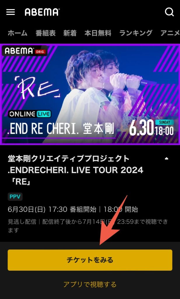 『堂本剛クリエイティブプロジェクト .ENDRECHERI. LIVE TOUR 2024「RE」』のPPV